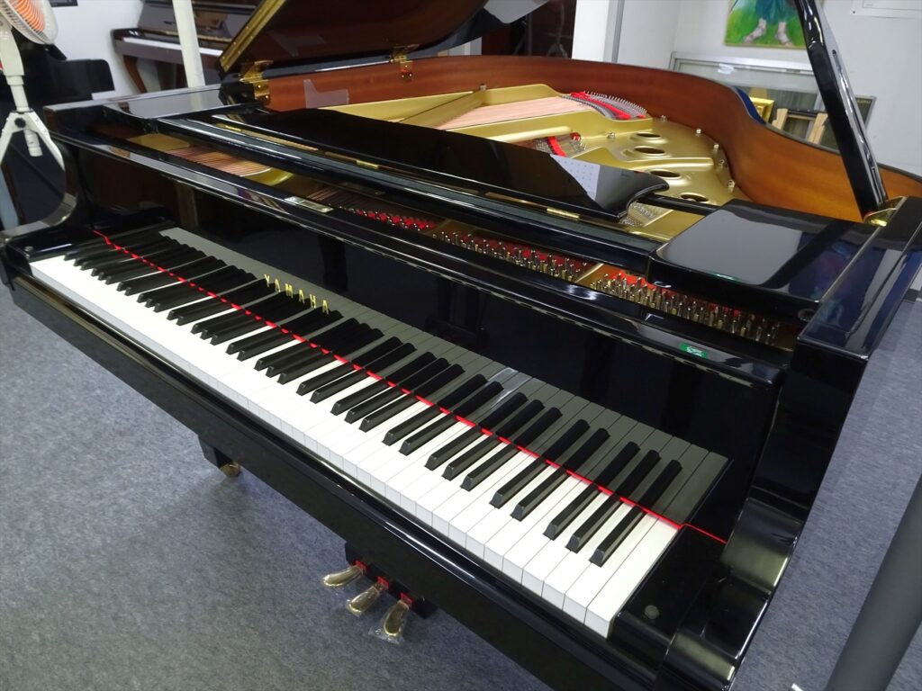 YAMAHA G1E-50916xx