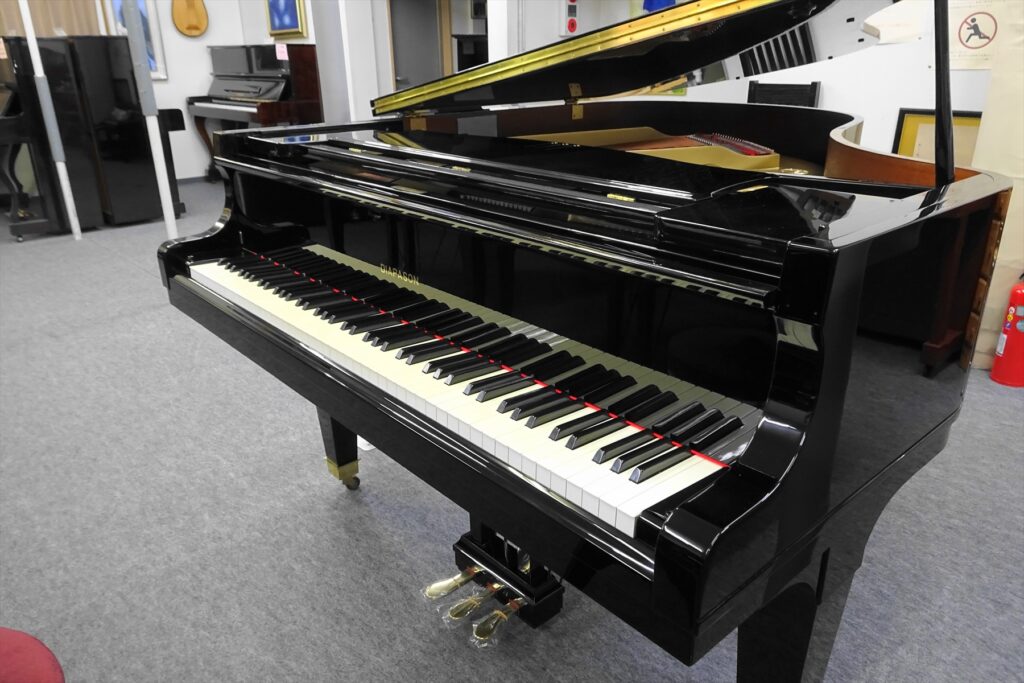 DIAPASON D171BG-1212xx